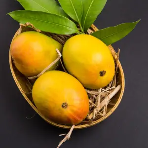 Alphonso (Hapus)