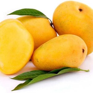 Alphonso (Hapus)