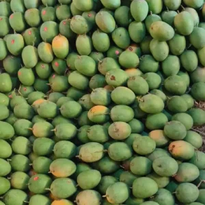 Fresh Devgad Alphonso