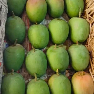 Fresh Ratnagiri Alphonso